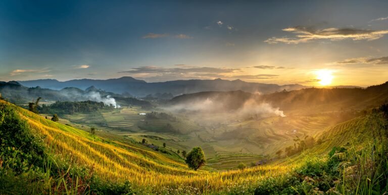Stunning sunrise over lush terraced rice fields in the mountains, capturing nature's beauty and tranquility.
